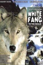 Watch Zanna bianca alla riscossa Freemovieswatch