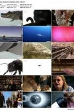 Watch History Channel Evolve: Sex Freemovieswatch