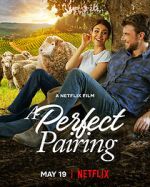 Watch A Perfect Pairing Freemovieswatch