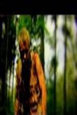 Watch The Legend of David Freemovieswatch