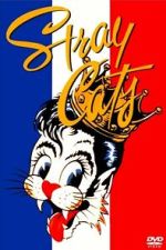 Watch Stray Cats Rock Paris Freemovieswatch