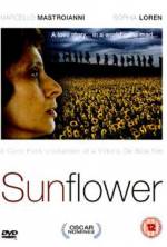 Watch Sunflower Freemovieswatch