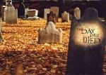 Watch The Day They Died Freemovieswatch