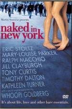 Watch Naked in New York Freemovieswatch