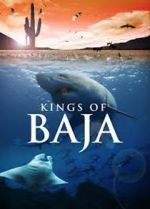 Watch Kings of Baja Freemovieswatch