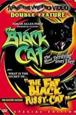 Watch The Black Cat Freemovieswatch