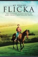 Watch My Friend Flicka Freemovieswatch