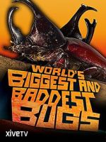 Watch World\'s Biggest and Baddest Bugs Freemovieswatch