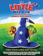 Watch The Little Wizard: Guardian of the Magic Crystals Freemovieswatch