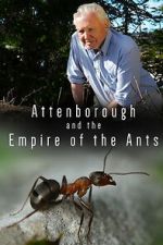 Watch Attenborough and the Empire of the Ants Freemovieswatch