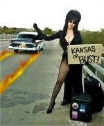 Watch The Elvira Show Freemovieswatch