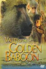 Watch National Geographic Golden Baboons Freemovieswatch