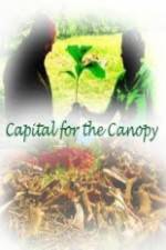Watch Capital for the Canopy Freemovieswatch