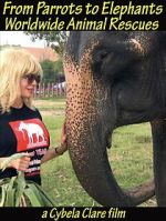 Watch From Parrots to Elephants: Worldwide Animal Rescues Freemovieswatch