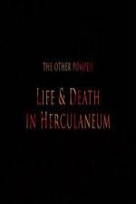 Watch The Other Pompeii Life & Death in Herculaneum Freemovieswatch
