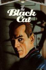Watch The Black Cat Freemovieswatch