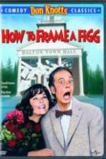 Watch How to Frame a Figg Freemovieswatch