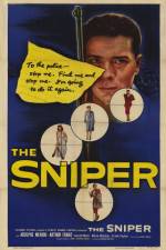 Watch The Sniper Freemovieswatch