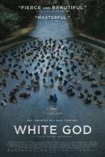 Watch Fehr isten Freemovieswatch