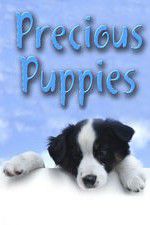 Watch Precious Puppies Freemovieswatch