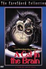 Watch Un gatto nel cervello Freemovieswatch
