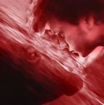 Watch We All Poop: All the Blood Freemovieswatch