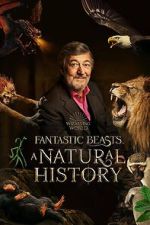 Watch Fantastic Beasts: A Natural History Freemovieswatch