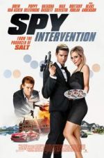 Watch Spy Intervention Freemovieswatch