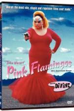 Watch Pink Flamingos Freemovieswatch