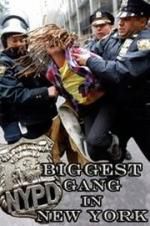 Watch NYPD: Biggest Gang in New York? Freemovieswatch