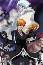Watch Bleach: The Diamond Dust Rebellion Freemovieswatch