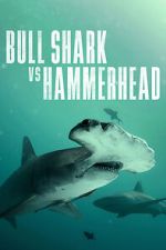 Watch Bull Shark vs Hammerhead Freemovieswatch