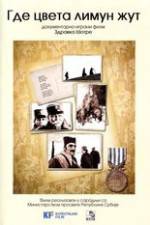 Watch Where the Yellow Lemon Blooms Freemovieswatch