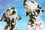 Watch 101 Dalmatians Sing Along Freemovieswatch