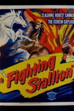 Watch The Fighting Stallion Freemovieswatch