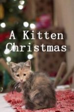 Watch A Kitten Christmas Freemovieswatch