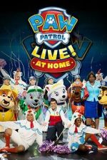 Watch PAW Patrol Live! at Home (TV Special 2021) Freemovieswatch