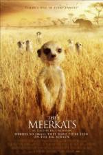 Watch The Meerkats Freemovieswatch