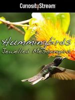 Watch Hummingbirds Jewelled Messengers Freemovieswatch