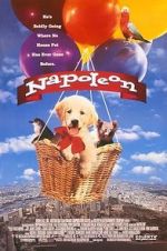 Watch Napoleon Freemovieswatch