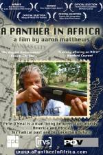Watch A Panther in Africa Freemovieswatch