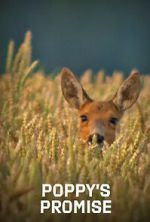 Watch Poppy\'s Promise: Secret Life in a Cornfield Freemovieswatch