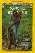 Watch Search for the Great Apes Freemovieswatch