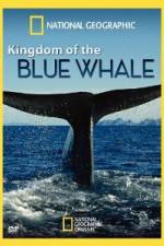 Watch National Geographic Kingdom of Blue Whale Freemovieswatch