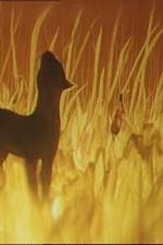 Watch The Cat Who Walked by Herself Freemovieswatch