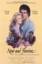 Watch Now and Forever Freemovieswatch