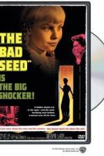 Watch The Bad Seed Freemovieswatch