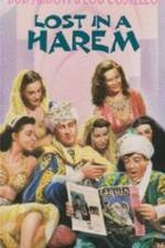 Watch Lost in a Harem Freemovieswatch