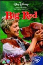 Watch Big Red Freemovieswatch