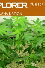 Watch Marijuana Nation Freemovieswatch